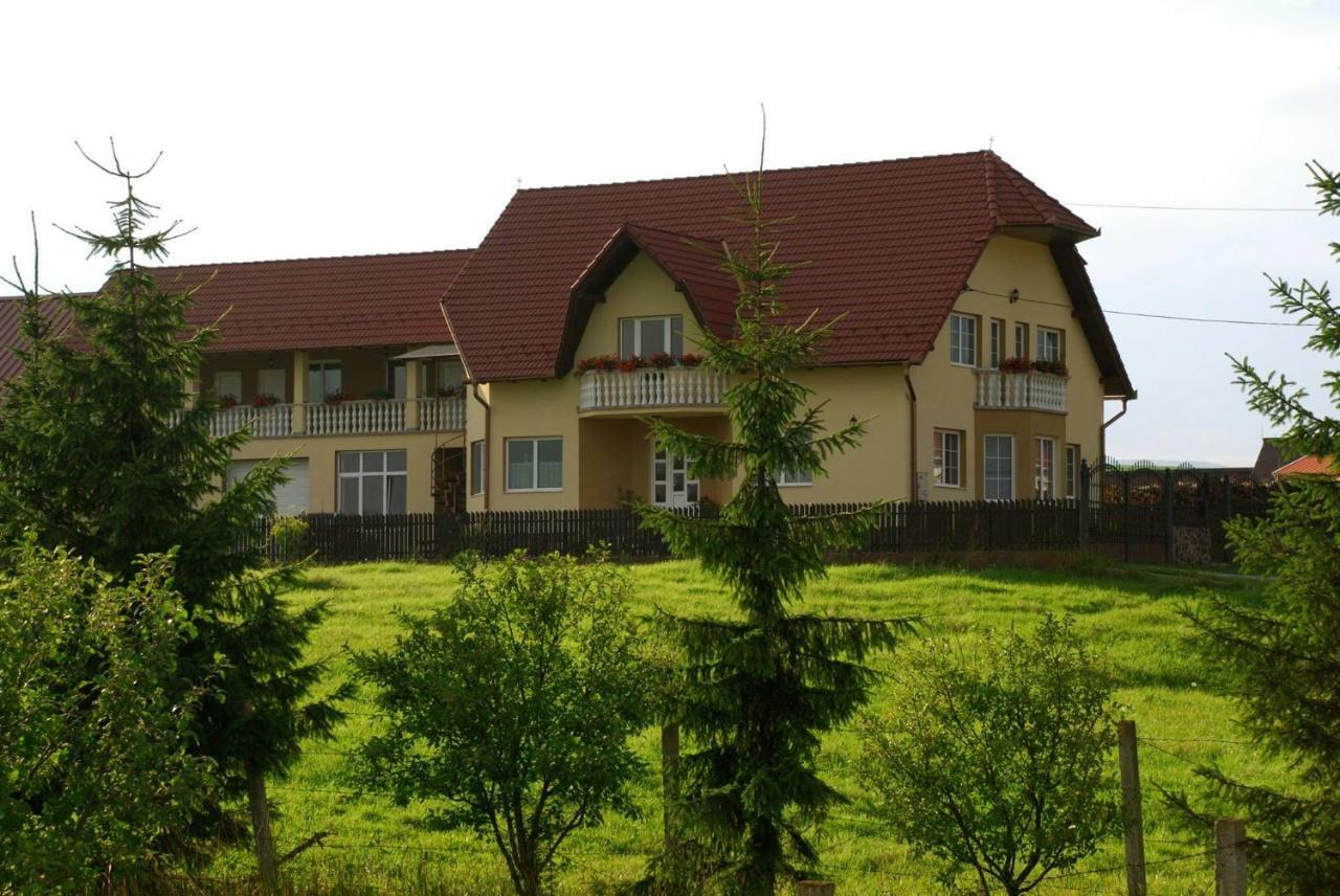 Margaréta Vendégház Lupeni  Exterior foto